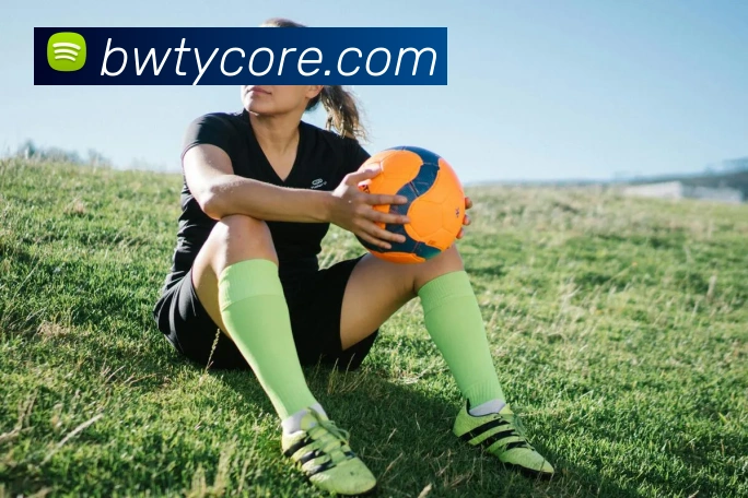 宝威体育平台生态图